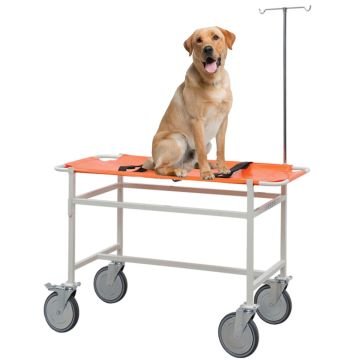 Veteriner Taşıma Sedyesi | Tekerlekli | Ped Transfer Sedyesi E279C