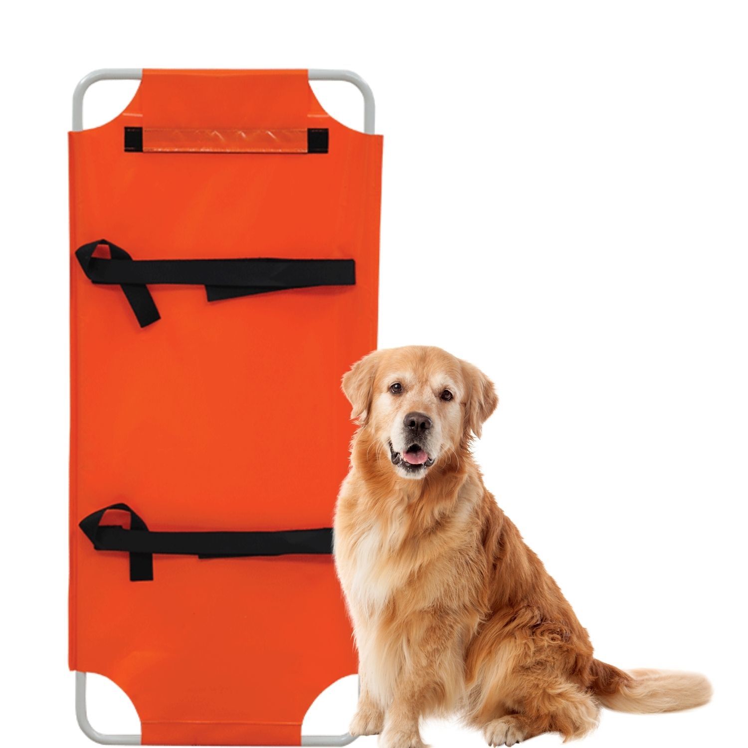 Veteriner Sedyesi | Köpek Sedyesi | Portatif Sedye Brandalı E279B